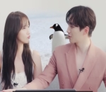 Chemistry Dua Pasangan Utama