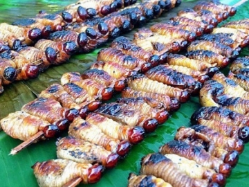 10 Makanan Uji Nyali Ini Ada di Indonesia Lho, Berani Coba?