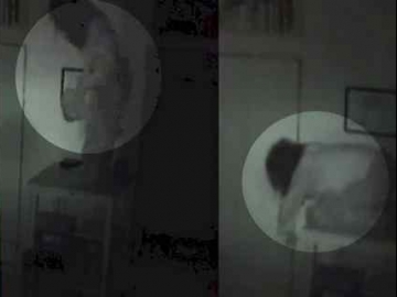 4 Hal Aneh Tak Terduga yang Pernah Tertangkap Kamera