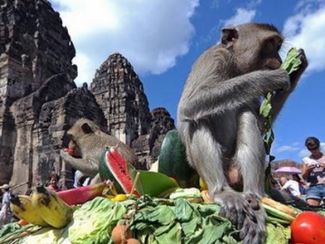 Inilah 5 Festival Teraneh di Dunia, Penasaran? 