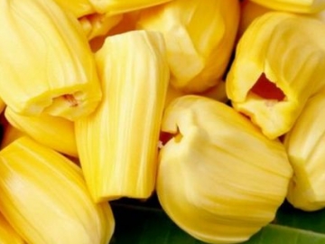 Inilah Manfaat Luar Biasa yang Tersembunyi di Balik Buah Nangka