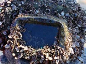  Hilang Lebih dari Dua Tahun di Laut, Kamera Ini Masih Utuh dan Berfungsi