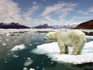 Peneliti Tak Menyangka Hewan Laut Kecil Ini Jadi Pemicu Pemanasan Global