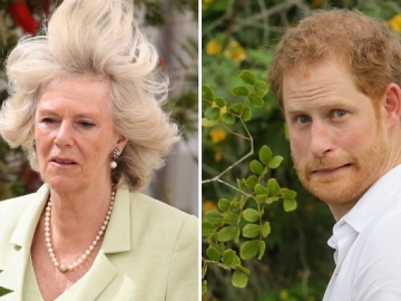 8 Foto Kocak Keluarga Kerajaan Inggris Dijamin Bakal Ngakak