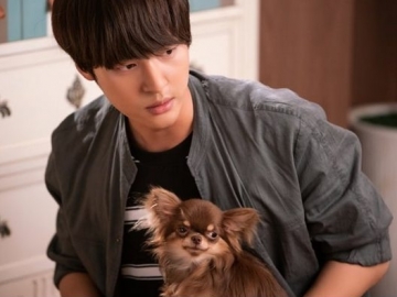 Tetap Tampilkan Akting Keren di '30 but 17' Meski Alergi Bulu, Yang Se Jong Banjir Pujian