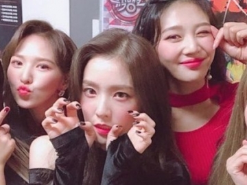 Begini Kata Red Velvet Soal 'Bad Boy' dan Harapan Mereka di Tahun 2019