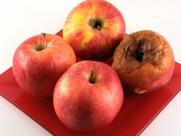 Jangan Anggap Sepele, Ini 7 Tips Menyimpan Buah-Buahan Agar Tidak Cepat Busuk