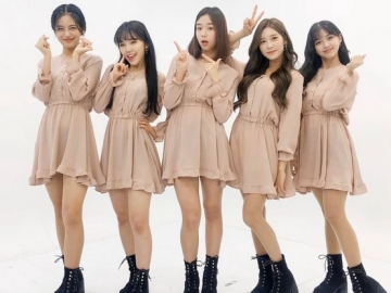 Busters Siaran Langsung Kolaborasi Dengan YouTuber Pria Dewasa, Netter Akui Risih