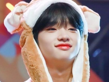 Karena Popularitas Son Dongpyo, DSP Buat Akun V Live Baru