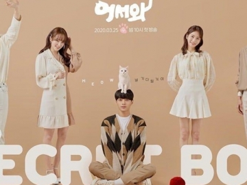 Saingan, Begini Rating 'Meow The Secret Boy' dan 'Find Me In Your Memory' 