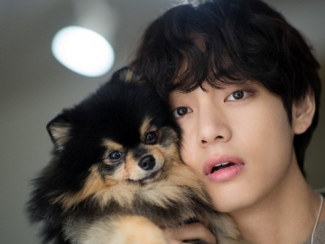 V BTS Akhirnya Bongkar Sosok yang Beruntung Bisa Memotret Dirinya dan Yeontan di Tempat Tidur