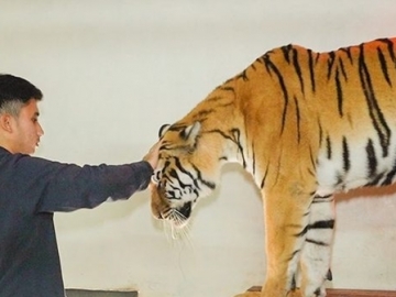 7 Seleb Indonesia Ini Kerap Pamer Foto Hewan Kesayangan, Dari Yang Imut Hingga Ekstrem