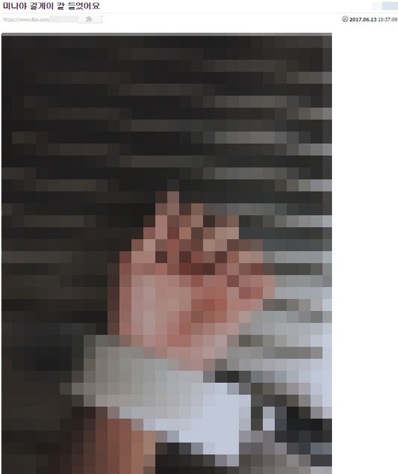 Foto Postingan Sasaeng Fans Beri Ancaman Mati Buat Mina Twice