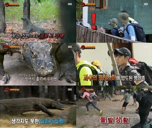 Seluruh Tim 'Law of the Jungle' Ketakutan Saat Melihat Komodo