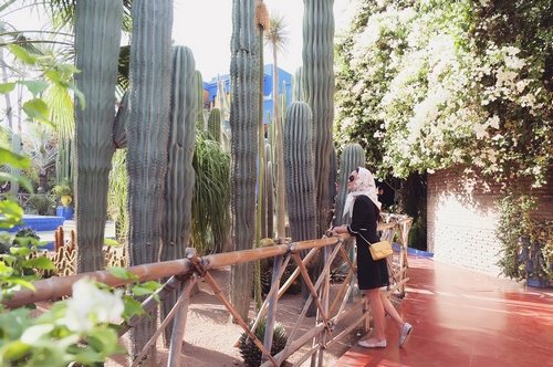 Jalan-Jalan Bersama Shandy Aulia