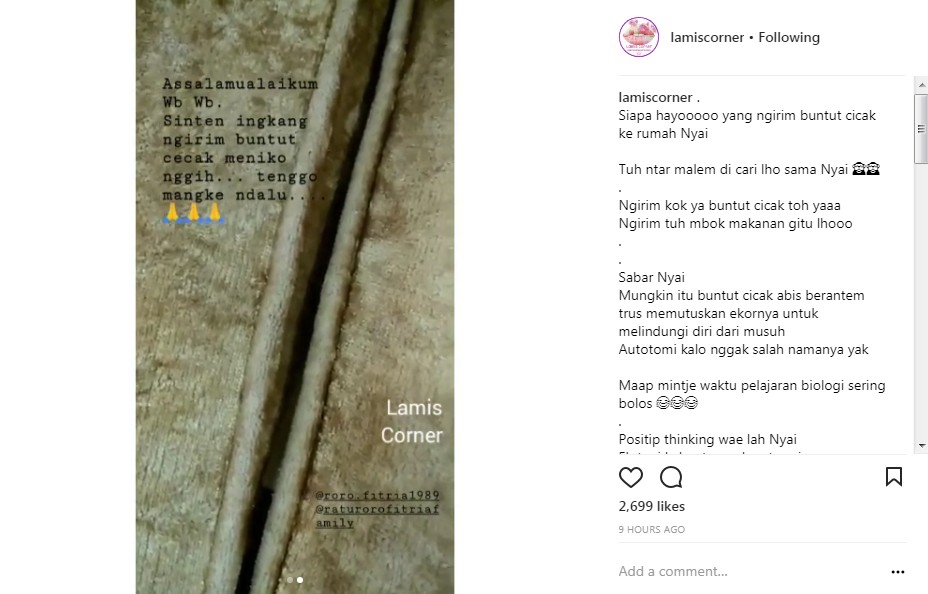 Curhatan Roro Fitria Soal Ekor Cicak