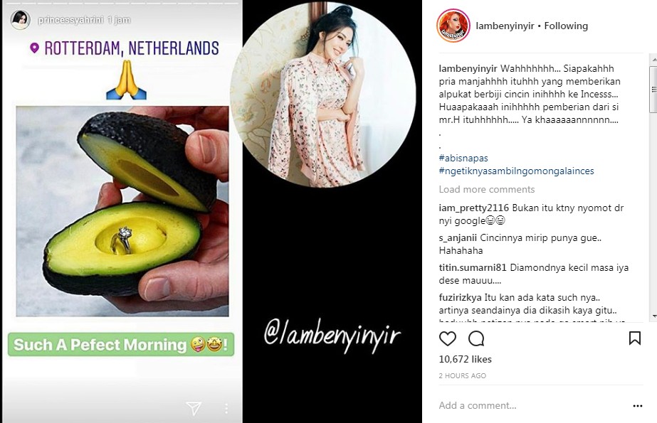Postingan Syahrini Soal Cincin dalam Buah Alpukat