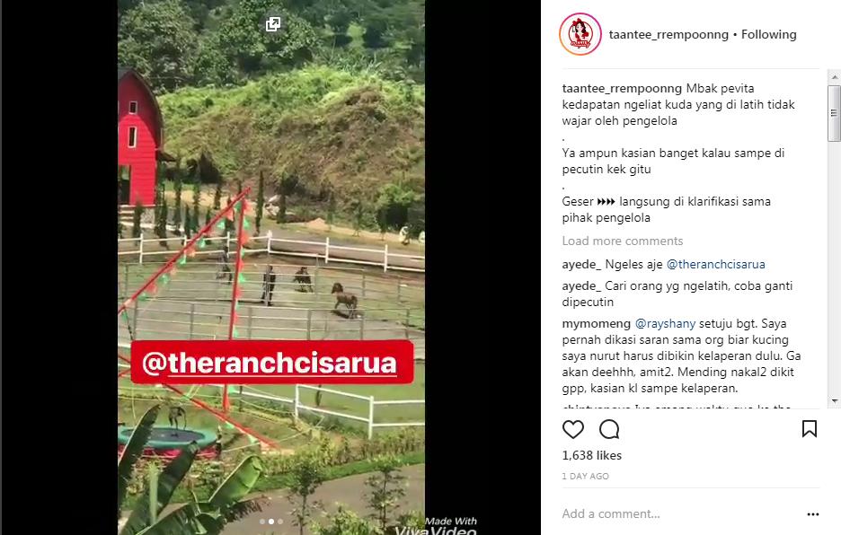 Video Kuda Dipukuli di Salah Satu Tempat Wisata