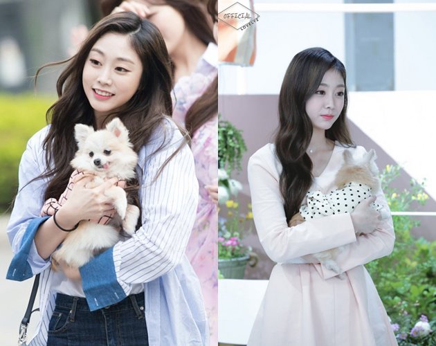 Member Lovelyz Bersama Candy