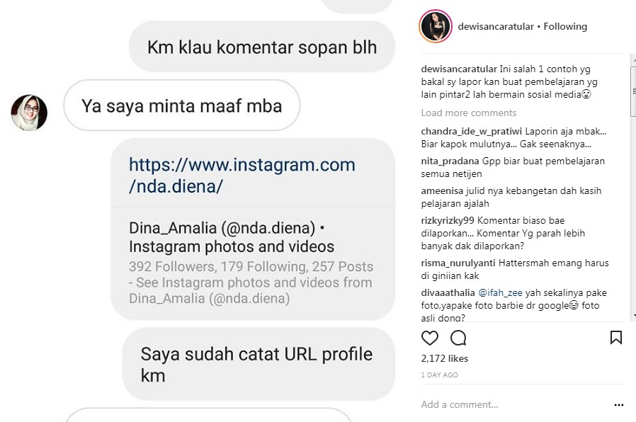 Permintaan Maaf Seorang Netizen yang Menyebut Dewi Sanca Gila