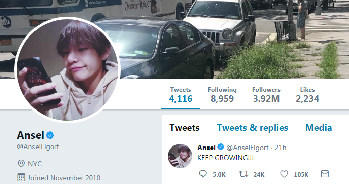 Ansel Elgort pasangn foto V BTS