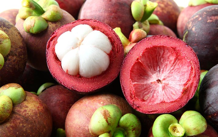 Kulit Manggis Ampuh Atasi Kiolesterol Tinggi