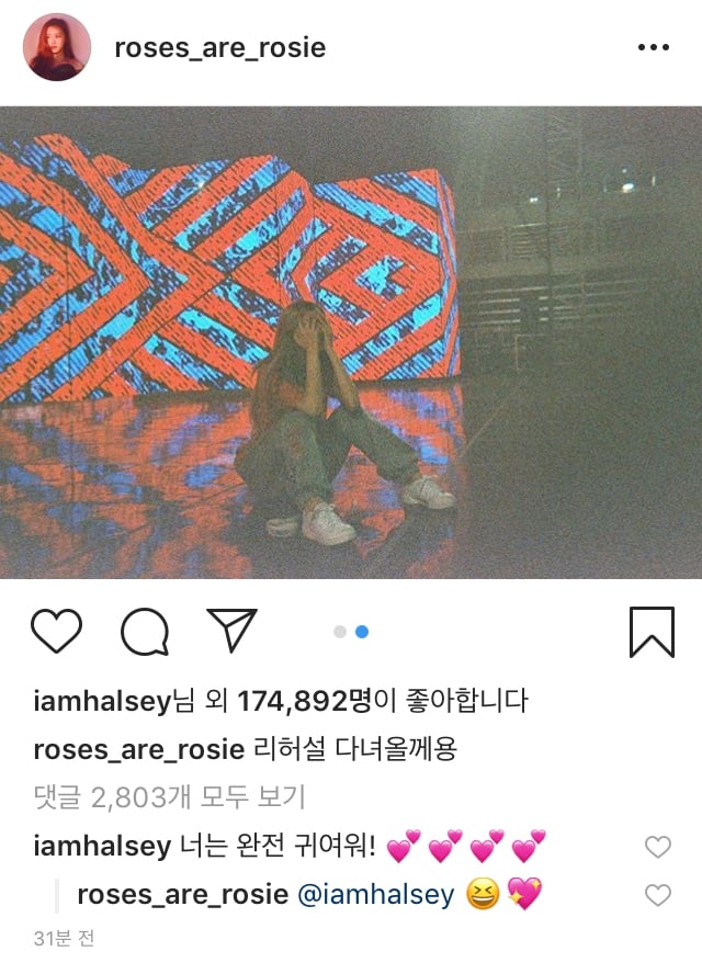 Komentar Halsey di Postingan Rose