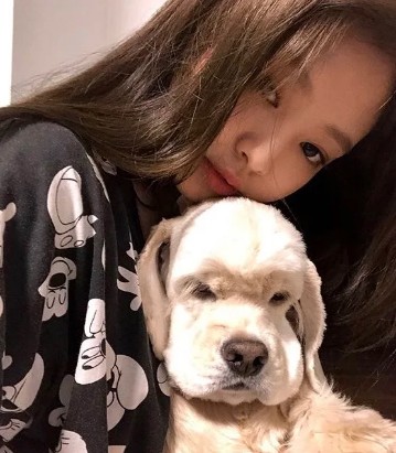 Anjing milik Jennie