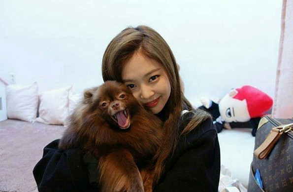 Anjing milik Jennie