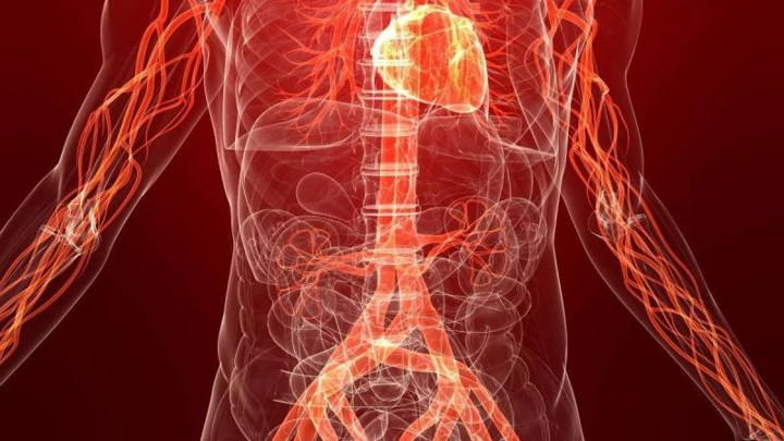 Dengan Mandi Air Hangat akan Melancarkan Aliran Darah