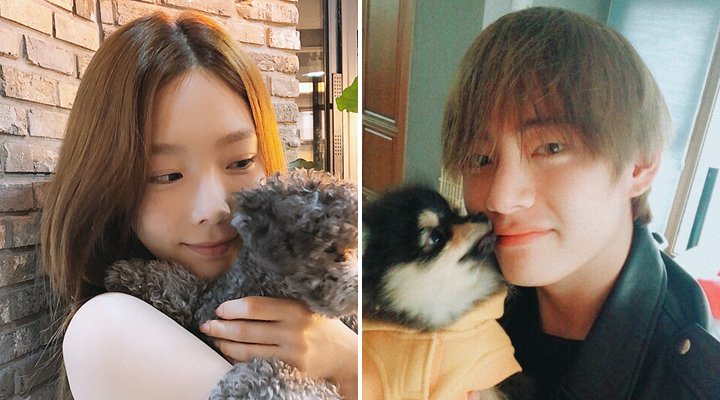 Foto: Intip Potret 7 Idol K-Pop dengan Anjing Peliharaannya, Bikin Fans Iri!