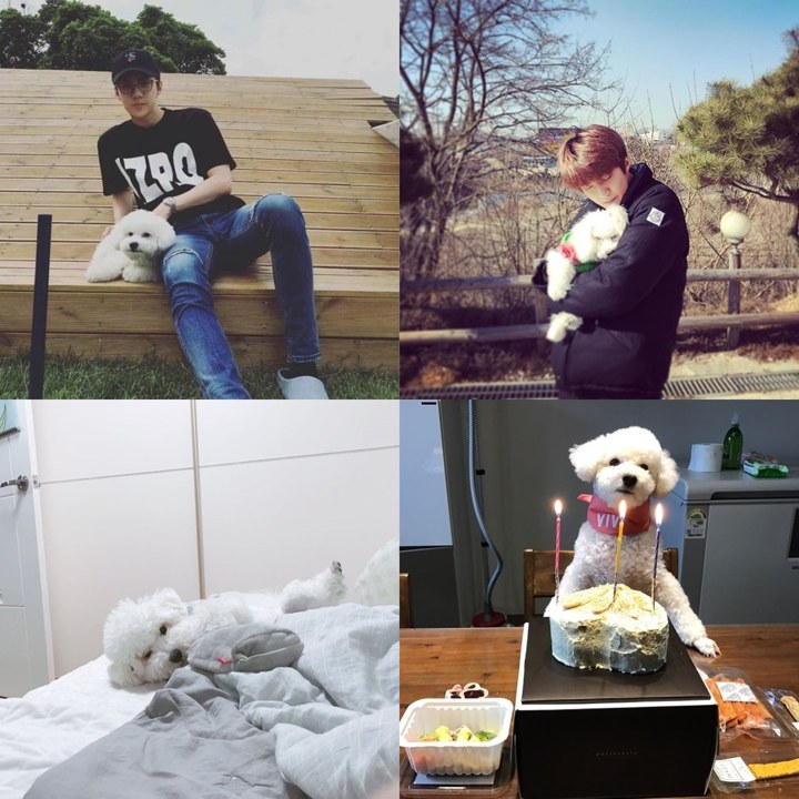 Vivi, Anjing Sehun yang Bak Salju 