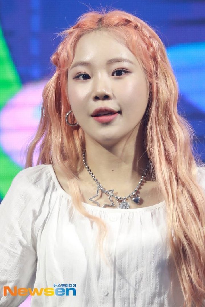 JooE Momoland