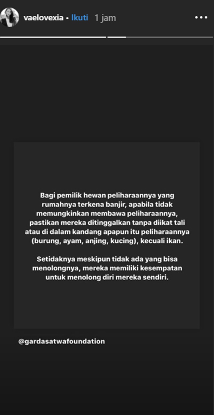 Jakarta Kembali Diterjang Banjir, Velove Vexia Bagikan Tips Selamatkan Hewan Peliharaan