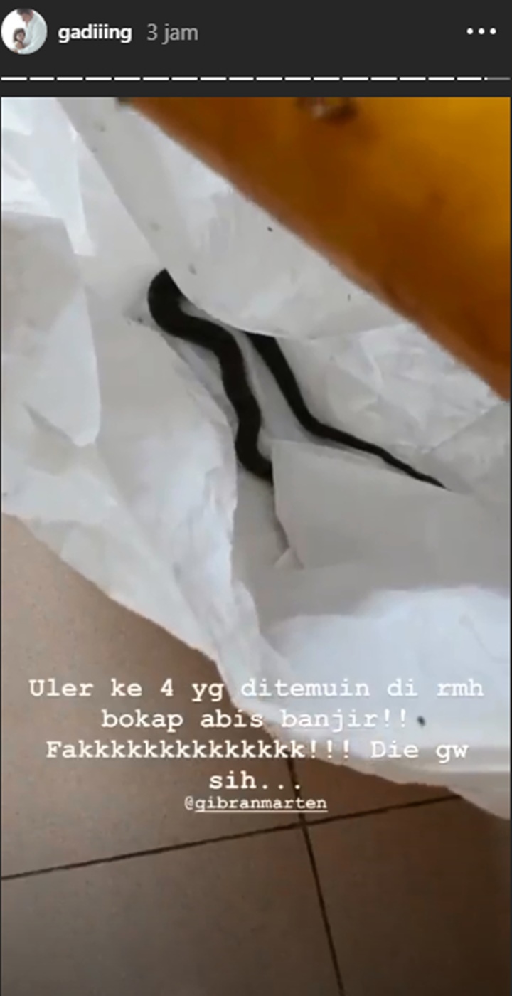 Mengerikan, Ditemukan 7 Ular Mampir Ke Rumah Roy Marten Usai Banjir Surut