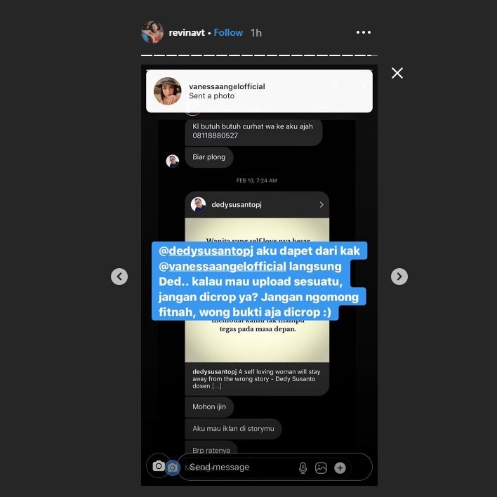 revina menyindir dedy susanto