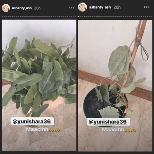 Balik ke Jakarta, Ashanty Pamer Kiriman Hadiah dari Yuni Shara