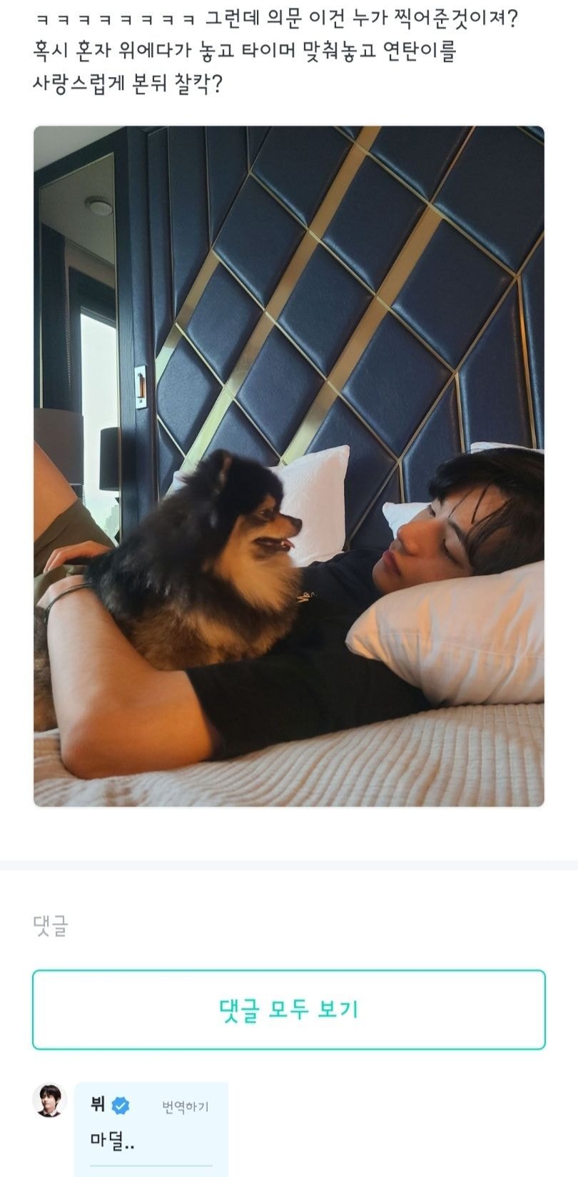 V BTS Akhirnya Bongkar Sosok yang Beruntung Bisa Memotret Dirinya dan Yeontan di Tempat Tidur