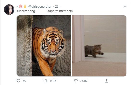 MV \'Tiger Inside\' SuperM Tuai Beragam Respon Fans, Mulai dari Kagum Hingga Bikin Ngakak