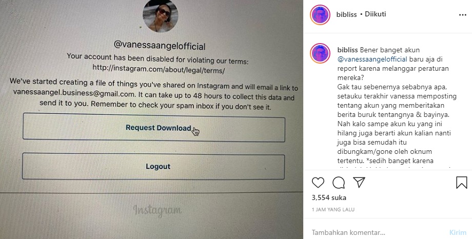 IG Vanessa Angel Menghilang Kena Report, Bibi Ardiansyah Sedih: di Situ Keluarga Kami Mencari Uang