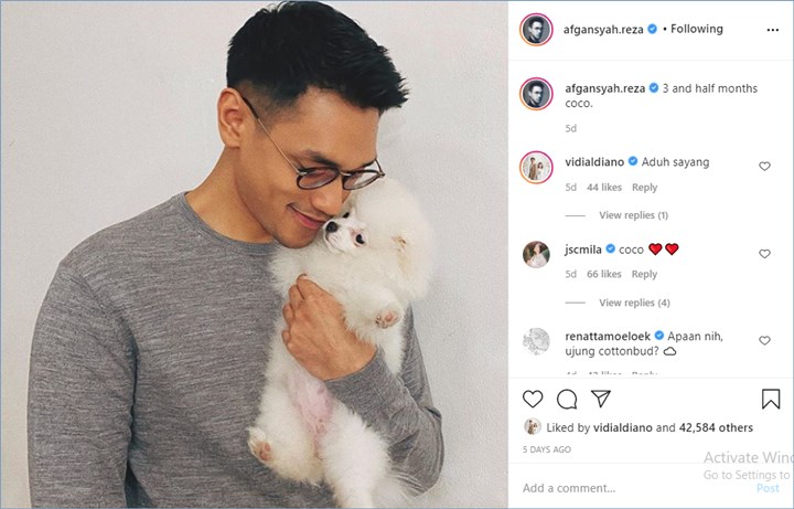 sederet selebriti ternama tidak ragu untuk memberikan komentar di unggahan afgan dengan anjing yang ia peluk