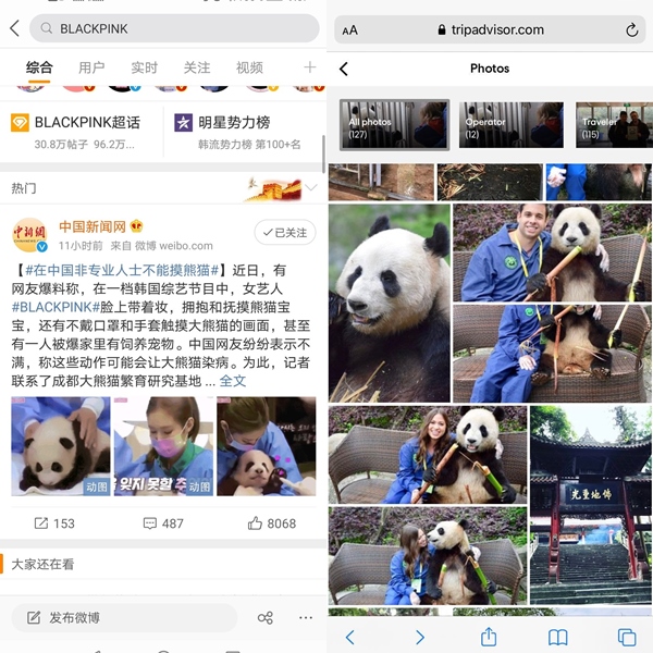 K-netz Bungkam Netter Tiongkok dengan Bukti-Bukti Ini Usai Kritik BLACKPINK Main dengan Panda