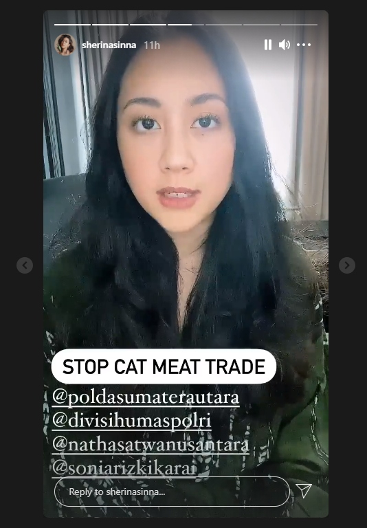 Heboh Kucing Dimutilasi, Sherina Geram dan Akui Dukung Penuh Polisi Hukum Pelaku Penyiksaan Hewan