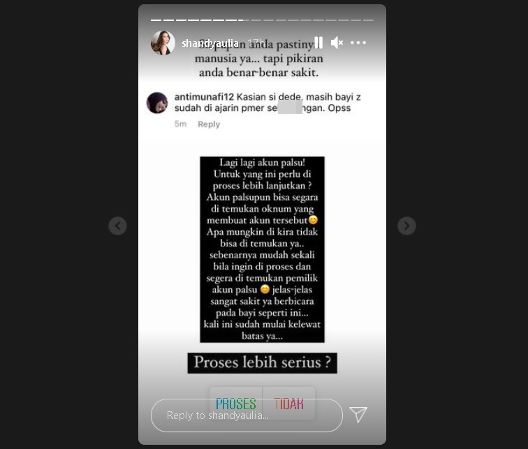 Ancam Seret ke Jalur Hukum, Shandy Aulia Murka Baby Claire Dikomentari Jahat: Pikiran Anda Sakit!