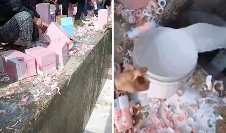 Dimentori Lisa BLACKPINK, \'Youth With You 3\' Kena Kritik Pedas Akibat Sistem Pemungutan Suara