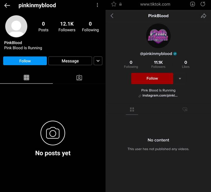 SM Entertainment membuat media sosial PinkBlood