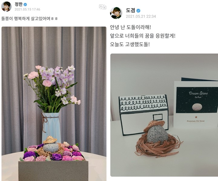 Jeongha SEVENTEEN Pamer Rumah Mewah Peliharaan Uniknya Sukses Buat Terpingkal