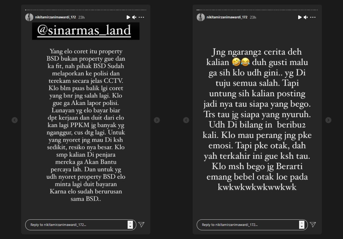 Rumah dan Usahanya Kena Teror Coret, Nikita Mirzani Justru Ngakak