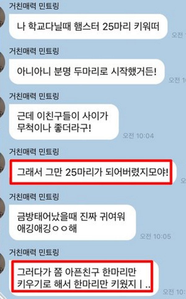 Gara-Gara Cerita Soal Ini, Winter Aespa Tuai Kecaman Usai Dituding Telah Menganiaya Hamters