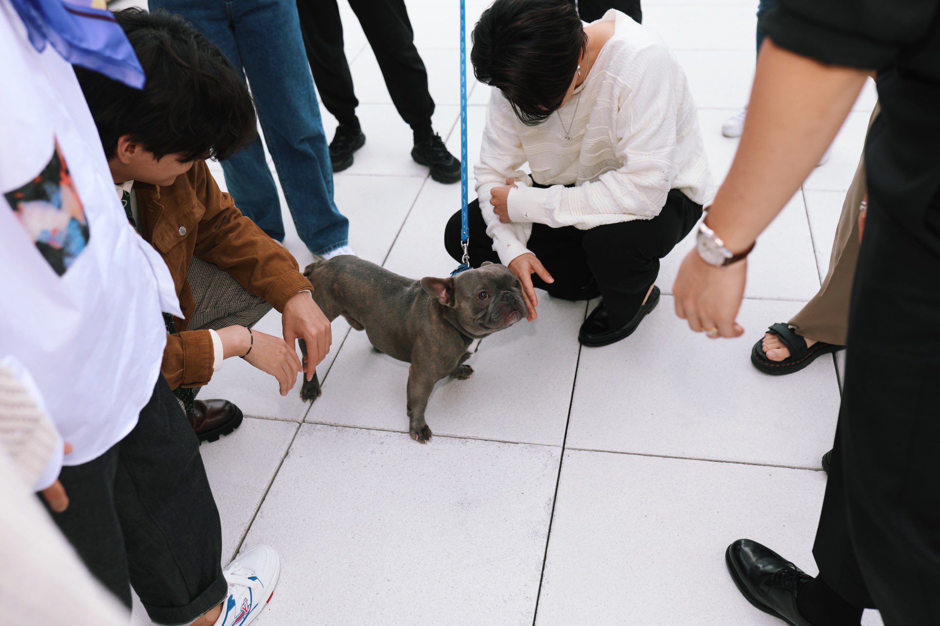 Usai Kolab Remix \'Butter\', BTS-Megan Thee Stallion Akhirnya Hangout Bareng di New York